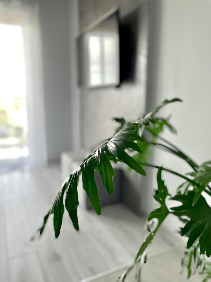 Ach, To Tu- Apartament Ланьцут Экстерьер фото